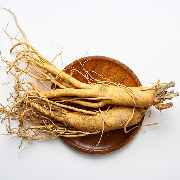 american ginseng.jpg